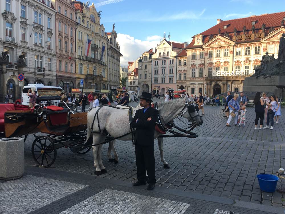 The carriage man, pensive